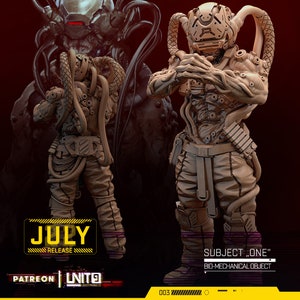 Könnte beinhalten: Ein 3D-gedrucktes Modell einer humanoiden Figur mit einem biomechanischen Design. Die Figur trägt einen Helm mit Visier und hat eine Vielzahl von Schläuchen und Drähten, die an ihrem Körper befestigt sind. Die Figur steht in einer Pose mit gekreuzten Armen vor der Brust. Die Figur ist mit "SUBJECT "ONE" BIO-MECHANICAL OBJECT" beschriftet.