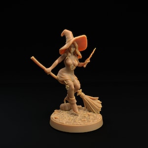 Witch by Dragon Trapper Lodge Great for Dungeons and Dragons and other fantasy Tabletop Games