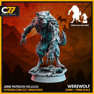 May include: A gray 3D printed miniature of a werewolf, standing on a rocky base. The miniature is in a snarling pose, with its claws extended. The miniature is 32mm tall and comes with a 75mm scale version.