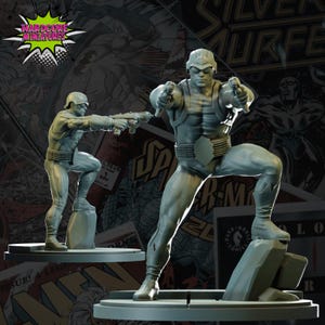 Literally Who 40mm scale on 35mm base by Hardcore Miniatures Great for Display, Superhero RPGs, and other Tabletop Game