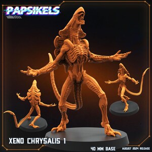 Può includere: Una miniatura stampata in 3D, di colore marrone-arancione, dettagliata di un Xenomorph Chrysalis del franchise Alien. La creatura è in una posa difensiva con la bocca aperta e la coda avvolta attorno al suo corpo. La miniatura è su una base di 40 mm. Il testo "XENO CHRYSALIS 1" è stampato sotto la miniatura. Il testo "40 MM BASE" è stampato sotto la base. Il testo "AUGUST 2024 RELEASE" è stampato in basso a destra.