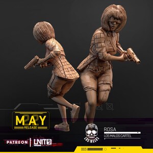 Rosa - Los Malos Cartel from Unit 9 Great for Cyberpunk, Human Interface, Shadowrun, and other Scifi Tabletop Game