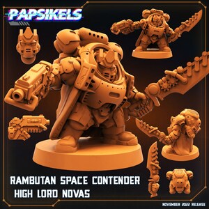 Rambutan Space Contender High Lord Novas by Papsikels Great for Cyberpunk, Shadowrun, Stargrave, Starfinder and other Sci-Fi Tabletop Games
