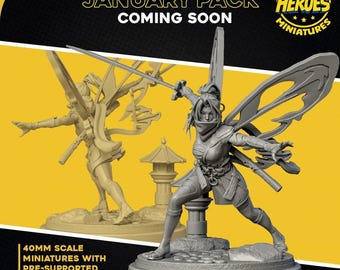 May include: A gray 3D printed miniature of a female warrior with butterfly wings, holding a sword. The miniature is 40mm in scale and comes with pre-supported STL files. The image also includes the text "JANUARY PACK COMING SOON" and "HALL OF HEROES MINIATURES".