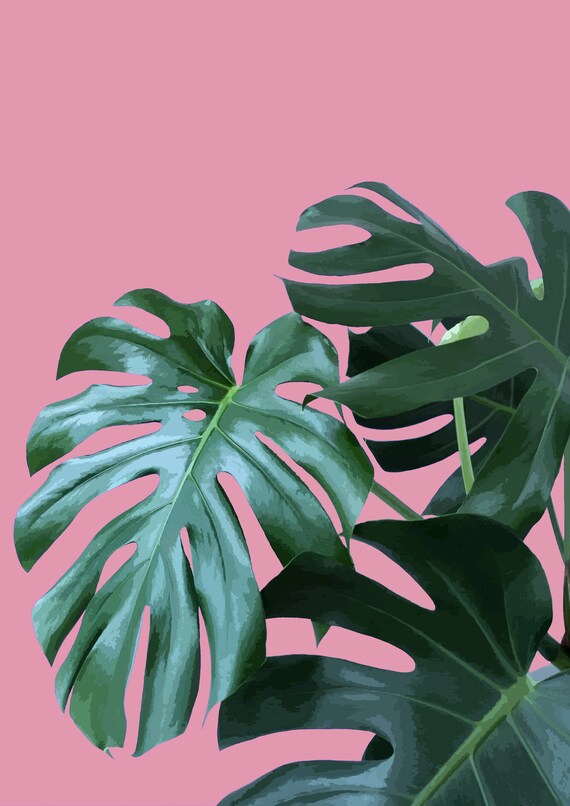 A4 Monstera Print - Candy Pink Background