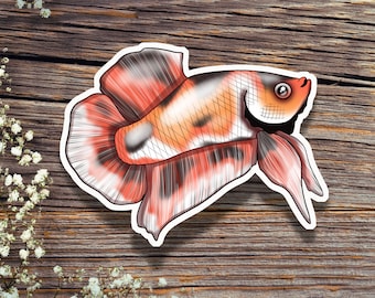 Die-Cut Calico Betta Fish Sticker, Betta Lover, Plakat, Koi color, Hydro Flask Sticker, Lap top sticker, Kindle Decal, Water Bottle Sticker