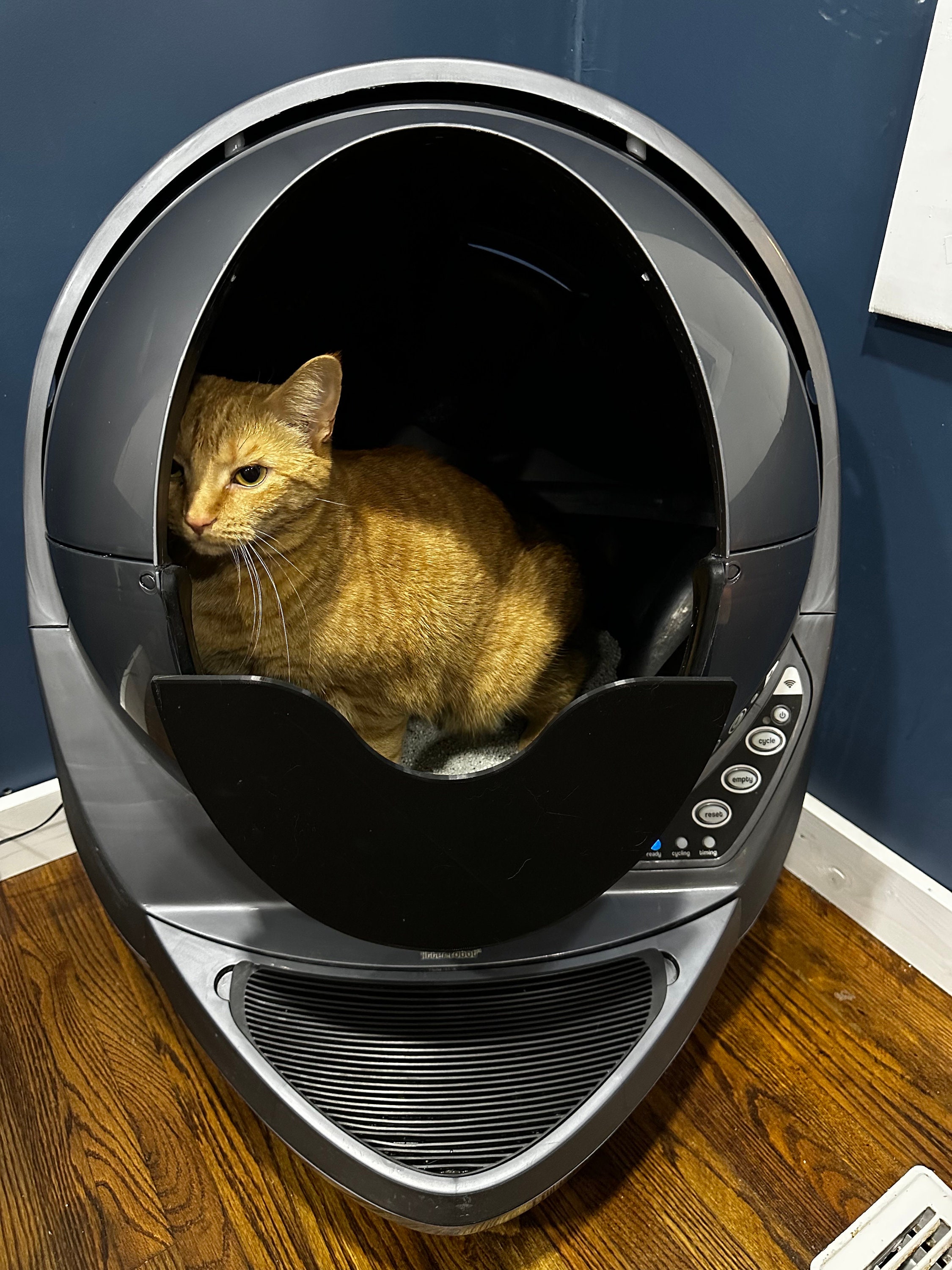 Los 3 mejores areneros para gatos automáticos con autolimpieza