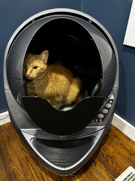 Cat robot on sale open air