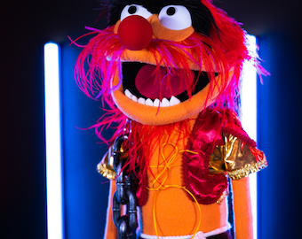 Animal Muppet puppet