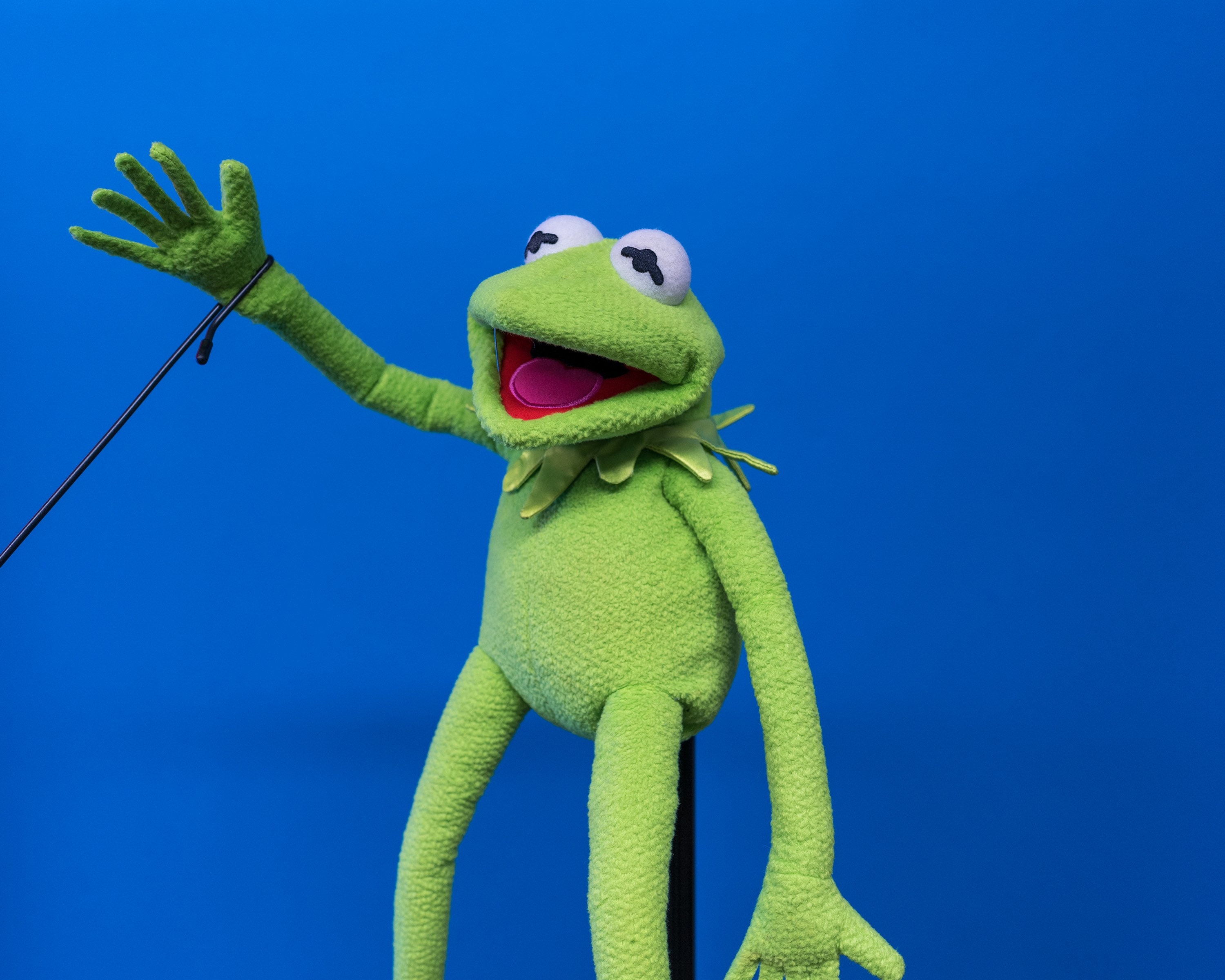 Marionnette de grenouille Kermit, spectacle de muse, Algeria