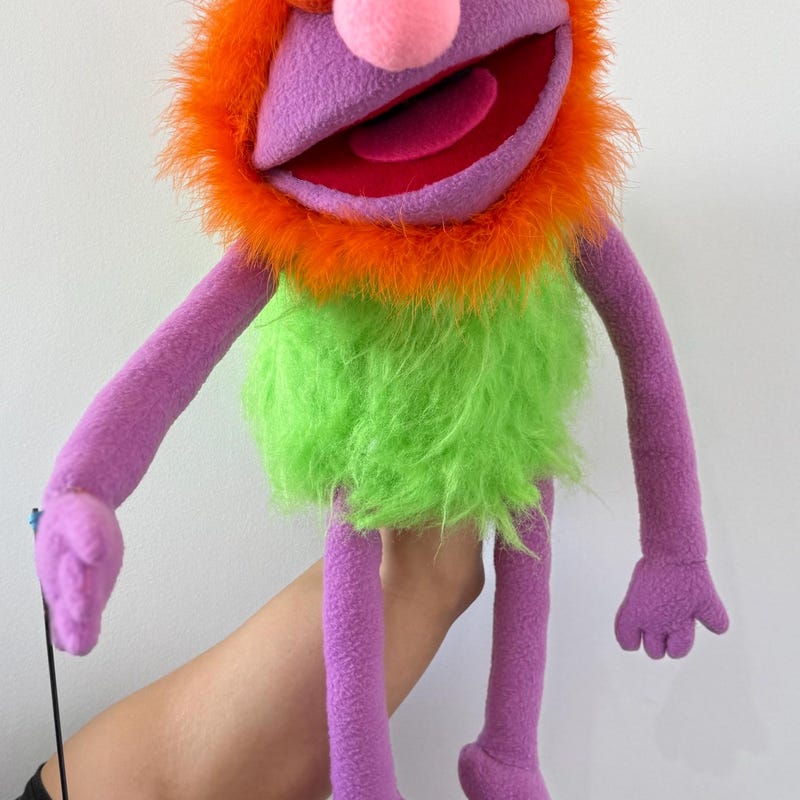 Cookie Monster Hand Puppet - Etsy