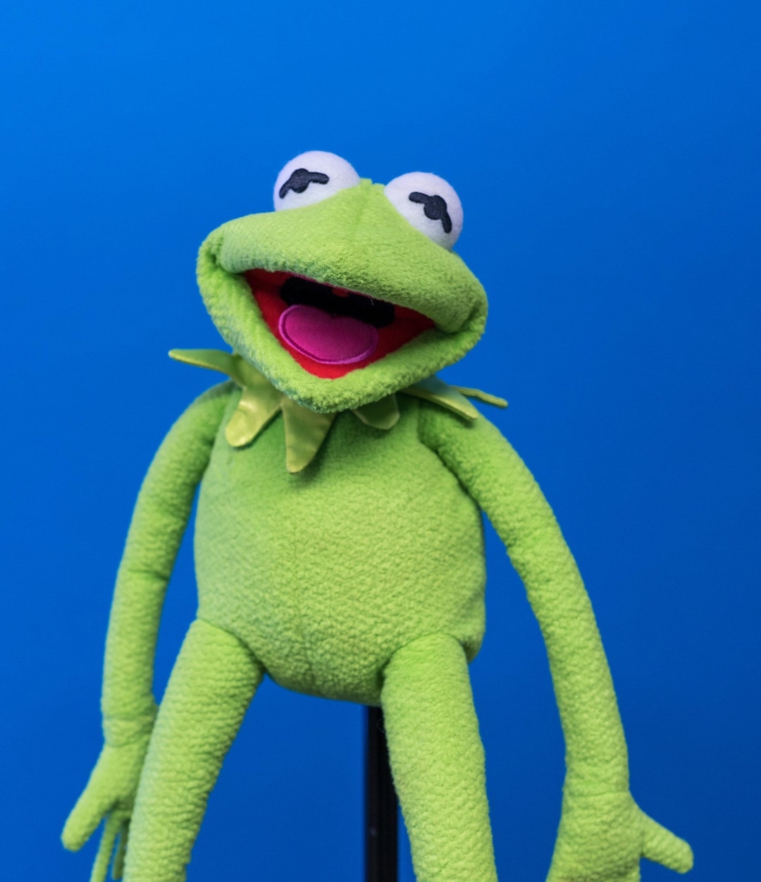 Kermit the Frog Hand Puppet Muppet Puppet -  Canada