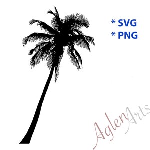 Palm Tree SVG and PNG High quality image