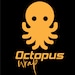 octopus designs