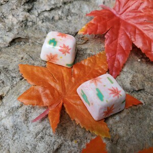 May include: Two white ceramic keycaps with a pink and green floral design. The keycaps are on top of a bright orange maple leaf.