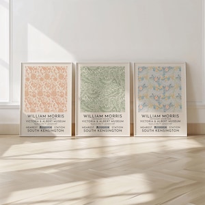William Morris Set Of 3 Prints - William Morris Wall Art - Floral Pattern Posters