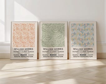 William Morris Set Of 3 Prints - William Morris Wall Art - Floral Pattern Posters