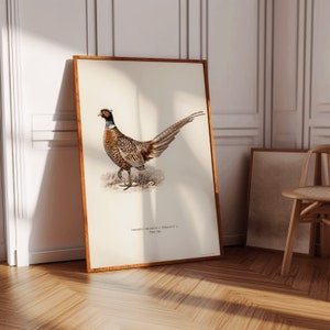 Pheasant Print - Vintage Bird Art - Country Painting