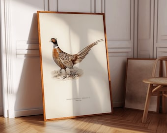 Pheasant Print - Vintage Bird Art - Country Painting