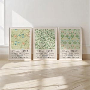 William Morris Set Of 3 Prints - William Morris Wall Art - Floral Pattern Posters