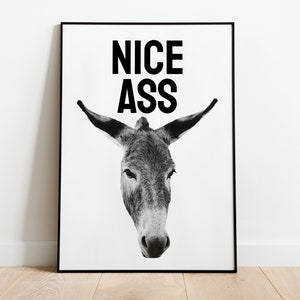 Pôster de arte de parede de banheiro de burro legal | A3 A4 A5 | Acessórios engraçados de decoração para banheiro e casa