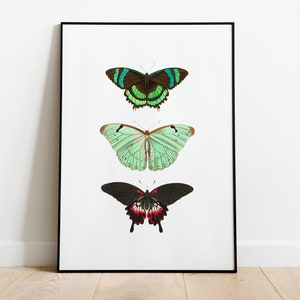 Vintage Butterflies Wall Art Print Poster | A3 A4 | High Quality Classic Photo Gift Flowers Home Decor Giclee