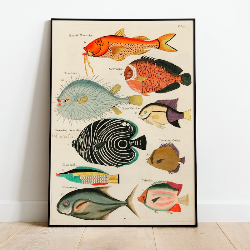 Vintage Fish - Etsy