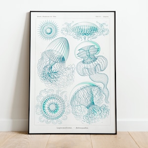 Ernst Haeckel Jellyfish Marine Wall Art Print Poster | A3 A4 | High Quality Classic Photo Gift Flowers Home Decor Giclee Vintage Art Deco
