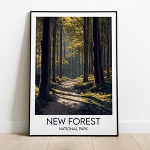 May include: A framed print depicting a path through a sunlit forest, with tall trees on either side. The image has a natural colour palette, highlighting light and shadow. The text "NEW FOREST NATIONAL PARK" is displayed at the bottom of the print.