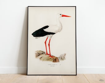 コウノトリと赤ちゃんの水彩画アートプリント：ヴィンテージ妊娠発表