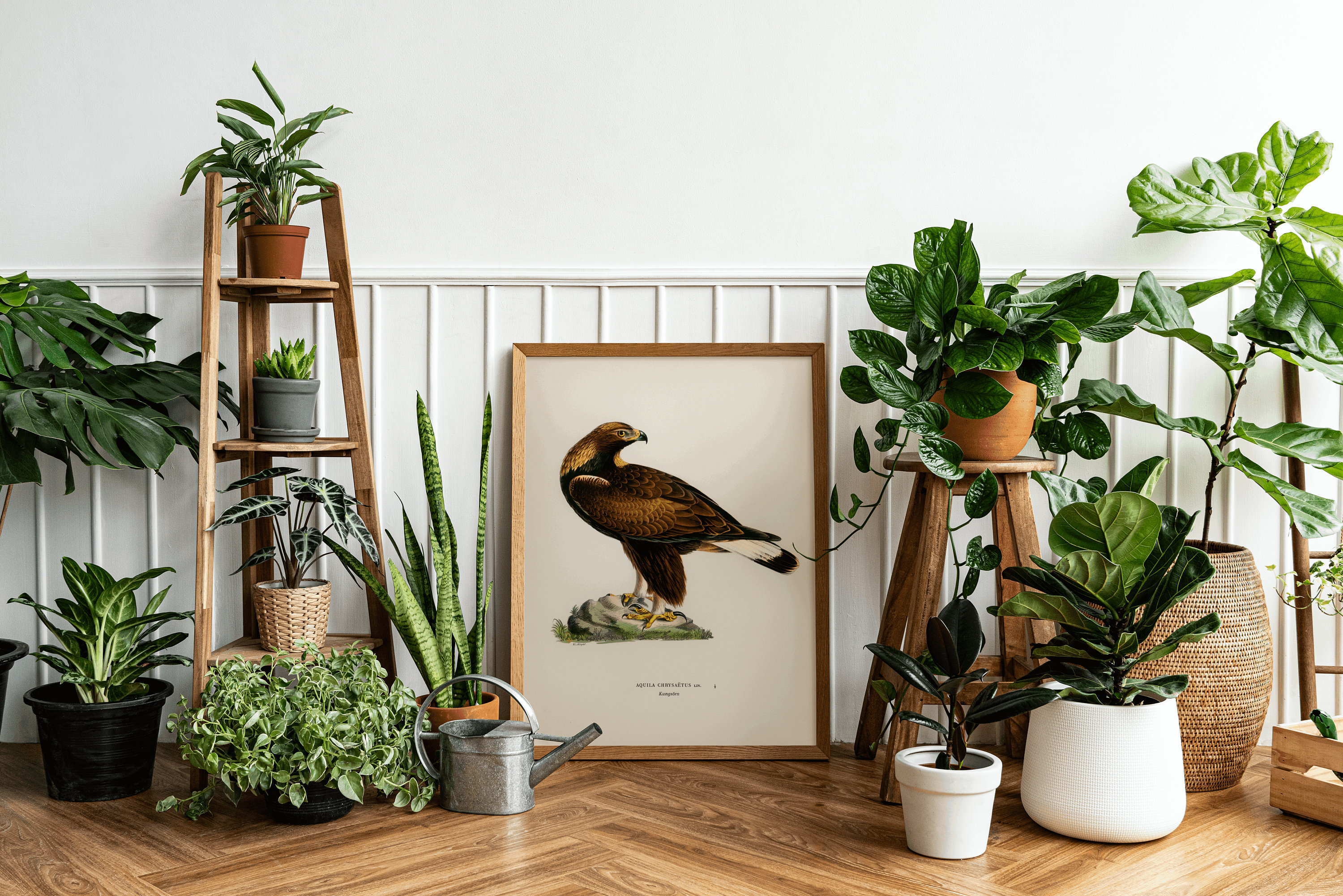 Golden Eagle Bird of Prey Wall Art Print Poster | High Quality Archival ...
