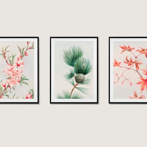 Japanese Botanical Print Collection Wall Art Posters | 3x A3 A4 A5 | Vintage Classic Home Decor Art Deco Woodblock Illustration Set of 3