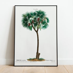 Dadelpalm botanische muur poster print | A3 A4 A5 | Hoge kwaliteit klassiek interieur giclee vintage art deco minimalistische palmboom cadeau