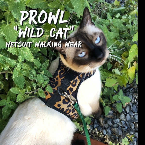HARNAIS THE PROWL : Le harnais de marche pour chat le plus confortable disponible en 8 teintes sympas | Fabriqué en Californie | Combinaison néoprène lavable en néoprène