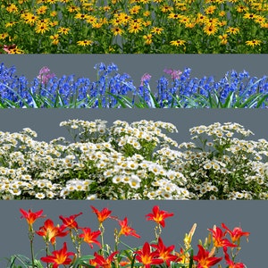 95 Flowers Overlays, Wildflowers Overlays, Photoshop Overlays, Lupins Overlays, Bluebell Overlays, Color Flowers Overlays, Summer, Spring image 7