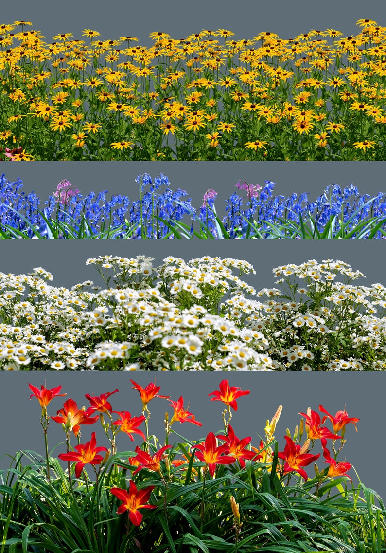 95 Flowers Overlays, Wildflowers Overlays, Photoshop Overlays, Lupins Overlays, Bluebell Overlays, Color Flowers Overlays, Summer, Spring image 7