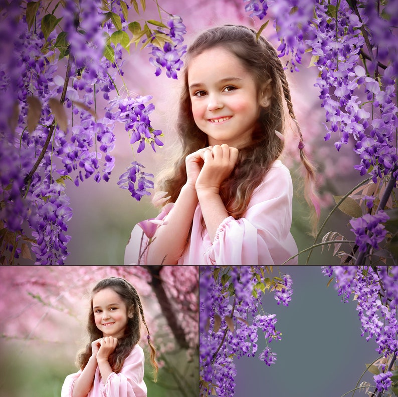 95 Blooming Tree Branch Overlays, Flower Branches Overlays, Flowering Trees, Magnolia Overlays, Wisteria Overlays, Spring Overlays, Summer image 3