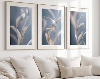 Set of 3 Light Blue Shades Grass Botanical Rustic Wall Gallery Photographs