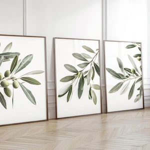 May include: Three framed prints of olive branches with green leaves and small green olives. The prints are arranged in a row on a light wood floor.