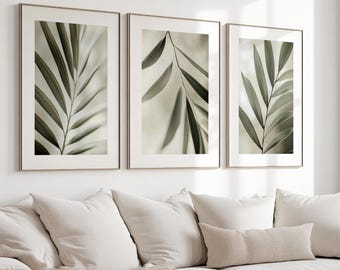 Three neutral toned posters with palm leaf, sage green, wall art, botanical