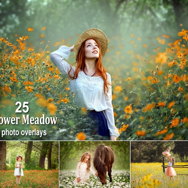 25 Blumenwiese Photoshop Overlays, Wildblumen Overlays, Blütenfeld Foto Overlays, Sommer Overlays, Frühling, Compositing, PNG