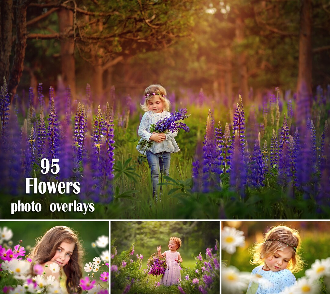 95 Flowers Overlays, Wildflowers Overlays, Photoshop Overlays, Lupins ...