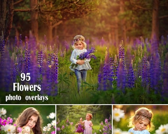 95 Flowers Overlays, Wildflowers Overlays, Photoshop Overlays, Lupins Overlays, Bluebell Overlays, Color Flowers Overlays, Summer, Spring