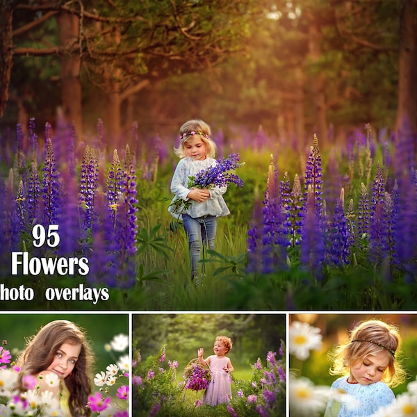 95 superpositions de fleurs, superpositions de fleurs sauvages, superpositions Photoshop, superpositions de lupins, superpositions de jacinthes des bois, superpositions de fleurs colorées, été, printemps