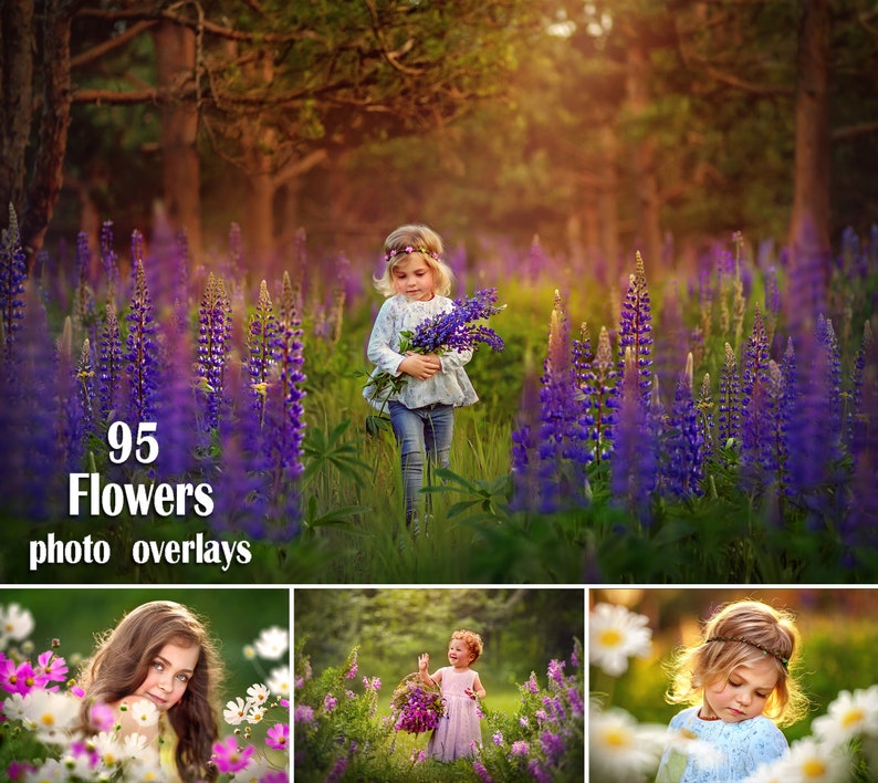 95 Blumen-Overlays, Wildblumen-Overlays, Photoshop-Overlays, Lupins-Overlays, Bluebell-Overlays, Farbblumen-Overlays, Sommer, Frühling Bild 1