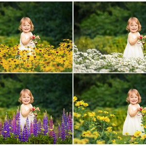 95 Flowers Overlays, Wildflowers Overlays, Photoshop Overlays, Lupins Overlays, Bluebell Overlays, Color Flowers Overlays, Summer, Spring image 8