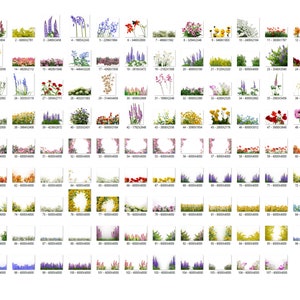 95 Blumen-Overlays, Wildblumen-Overlays, Photoshop-Overlays, Lupins-Overlays, Bluebell-Overlays, Farbblumen-Overlays, Sommer, Frühling Bild 2