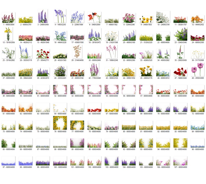 95 Flowers Overlays, Wildflowers Overlays, Photoshop Overlays, Lupins Overlays, Bluebell Overlays, Color Flowers Overlays, Summer, Spring image 2