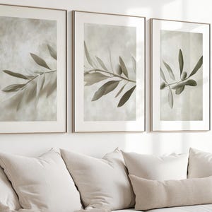 Könnte beinhalten: Drei gerahmte Kunstdrucke mit Olivenzweig-Motiven. Jeder Druck zeigt eine andere Komposition von Olivenzweigen und Blättern in gedämpften Grün- und Grautönen, vor einem strukturierten Hintergrund. Die Rahmen haben eine goldene Oberfläche.