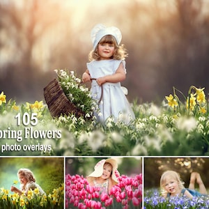 105 Frühlingsblumen Overlays, Wildblumen Overlays, Photoshop Overlays, Farbe Frühlingsblumen Overlays, PNG Datei, Frühling Overlays Bild 1